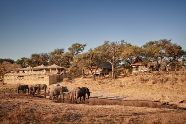 Belmond Savute Elephant Lodge