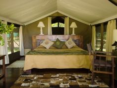Little Govenors' Camp - Luxuriöses Zelt