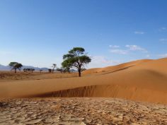Kanaan Desert Retreat - Dünen