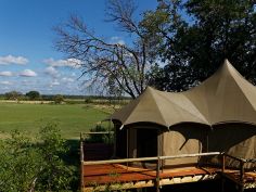 Nambwa Tented Lodge, Suite