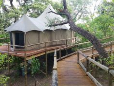 Nambwa Tented Lodge, Suite