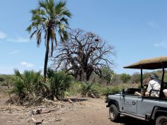 The Outpost - Game Drive