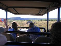 Amakhala Private Game Reserve - Game Drive