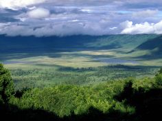 Ruf der Wildnis - Ngorongoro Krater während der Regenzeit