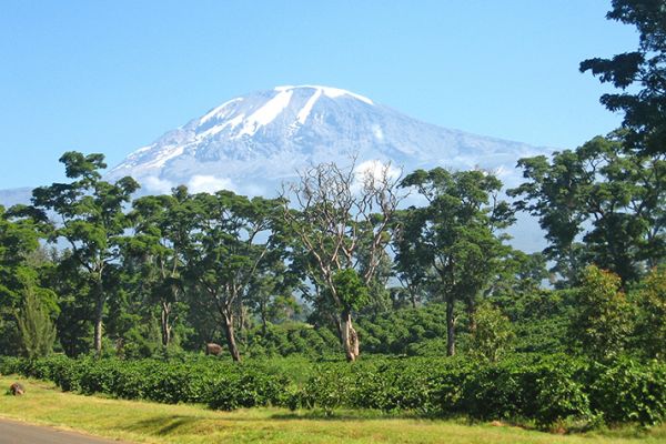 Kilimanjaro Besteigung (Machame Route)