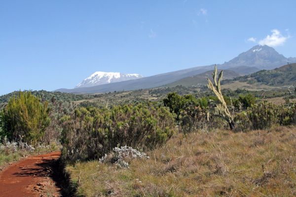 Kilimanjaro Besteigung (Marangu Route)