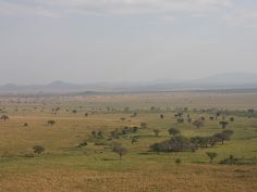 Kidepo Valley National Park - endlose Weite