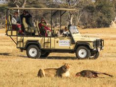 Camelthorn Lodge - Game Drive
