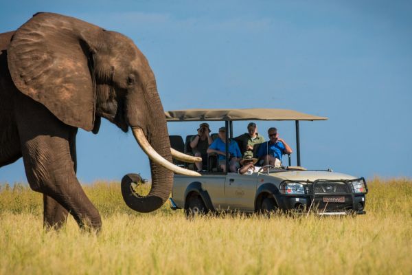 Flugsafari Zimbabwe Highlights
