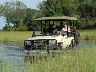 Baines' Camp - Game Drive Baines' Camp - Game Drive
