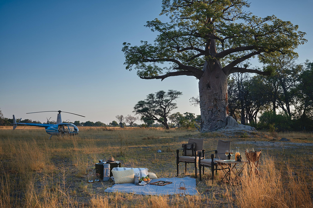 Belmond Eagle Island Lodge - Picknick