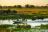 Belmond Eagle Island Lodge - Ausflug