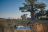 Belmond Eagle Island Lodge - Picknick