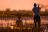 Belmond Eagle Island Lodge - Ausflug