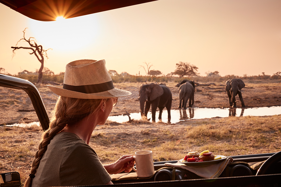 Belmond Savute Elephant Lodge - Pirschfahrt im offenen 4x4