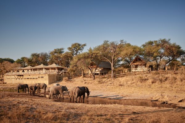 Belmond Savute Elephant Lodge