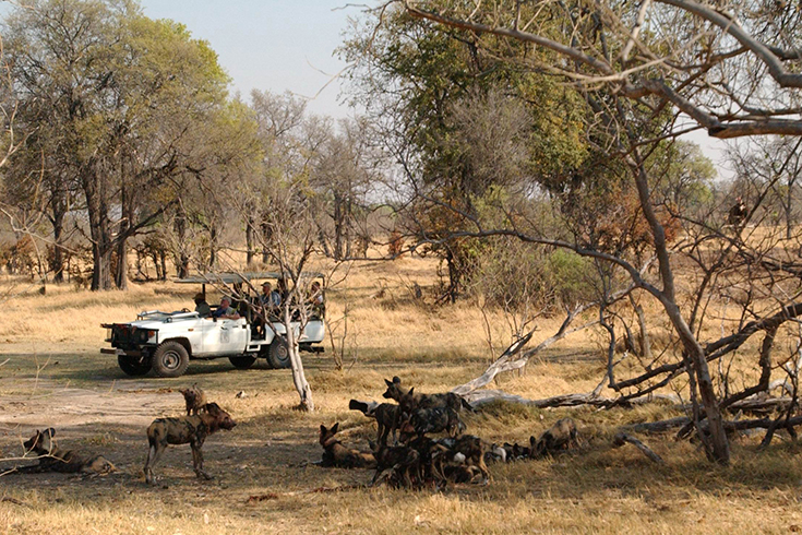 Camp Moremi, Pirschfahrt