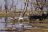 Camp Xakanaxa, Sundowner