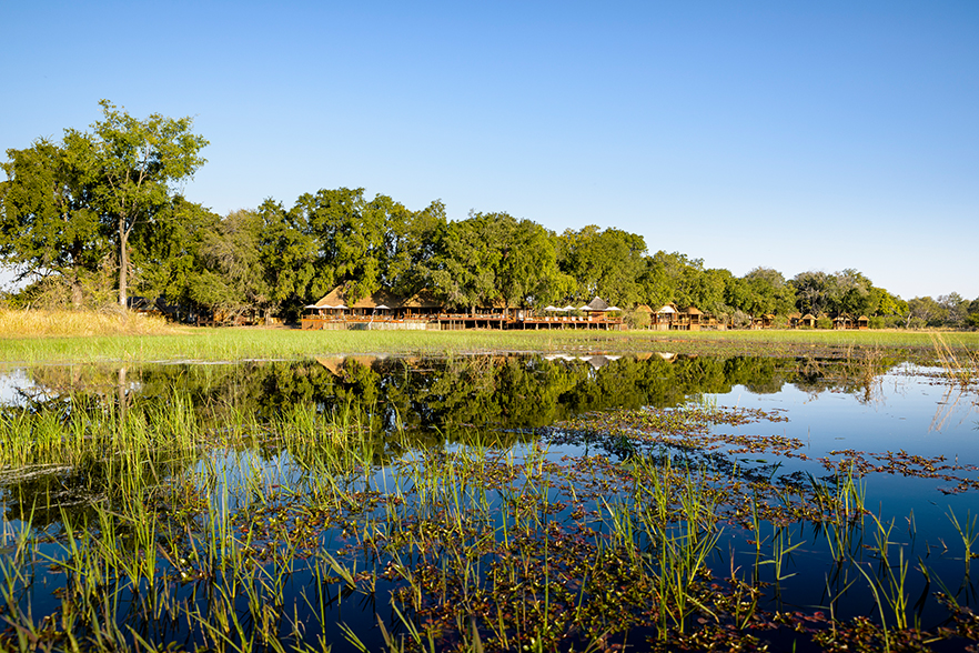 Chief's Camp