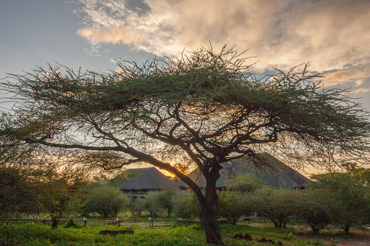 Chobe Bush Lodge