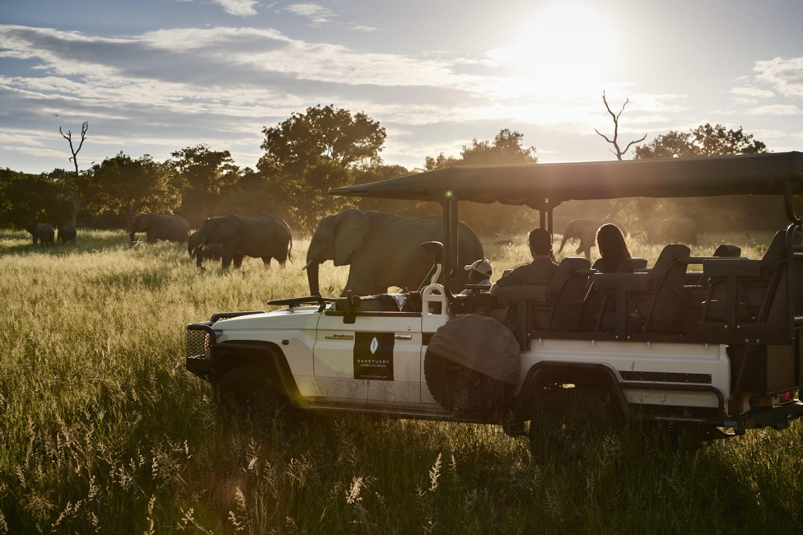 Chobe Chilwero - Pirschfahrt im Chobe National Park