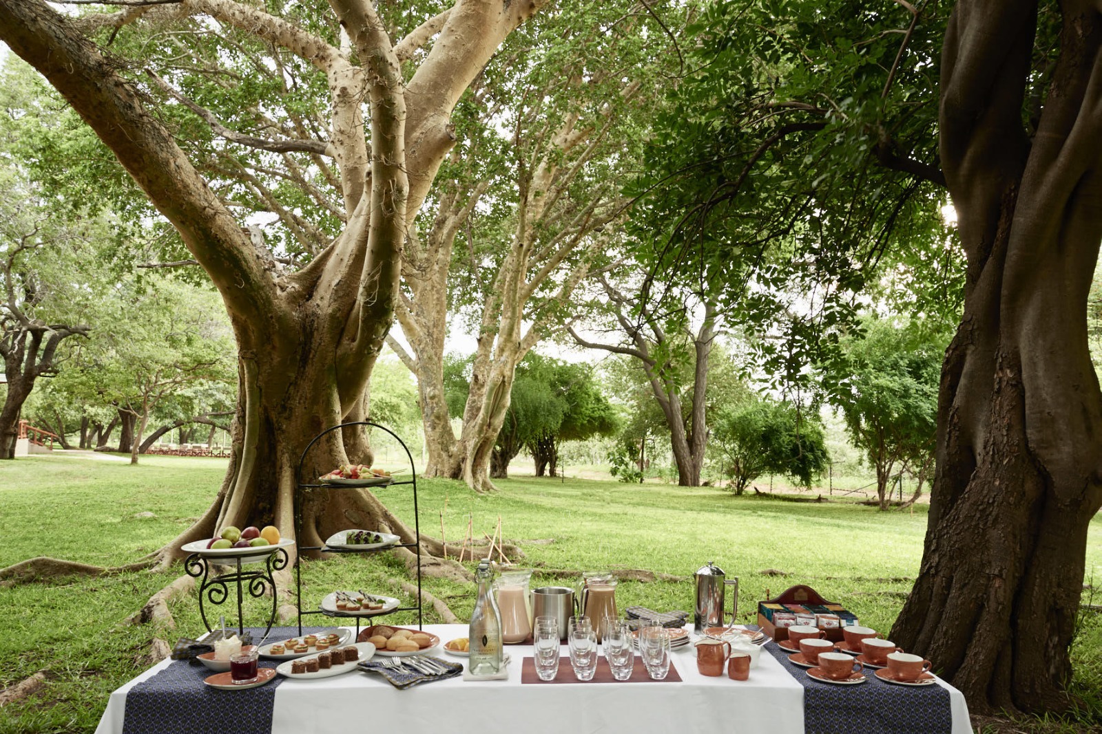 Chobe Chilwero - Picknick