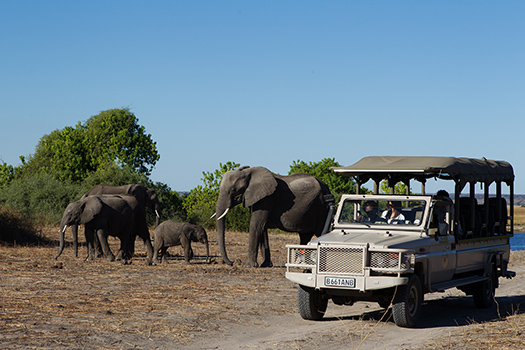 Chobe Game Lodge - Pirschfahrt mit Elektro-Fahrzeug