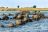 Chobe Game Lodge - Elefanten überqueren den Fluss