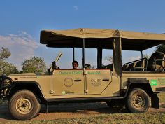 Chobe Game Lodge - Pirschfahrt mit Elektro-Fahrzeug