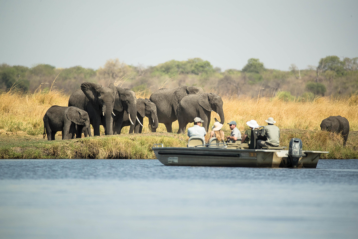 Chobe Savanna Lodge - Bootsausflug