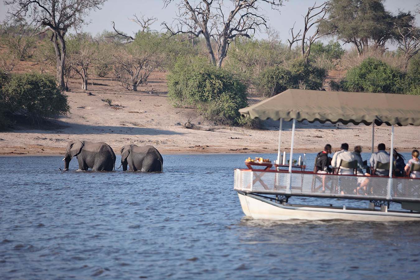 Chobe Under Canvas - Boat