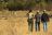 Delta Camp - Bush Walk