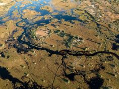 Duke's Camp - Okavango Delta