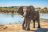 Ghoha Hills Safari Lodge - Besuch am Wasserloch