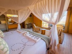 Ghoha Hills Safari Lodge - Standard Zelt