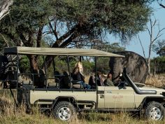 Hyena Pan - Tierbeobachtung im offenen Geländefahrzeug