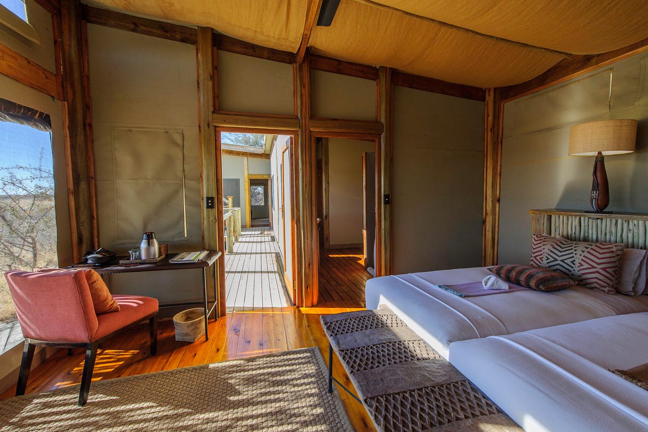 Kalahari Plains Camp, Familien-Zelt Zimmer