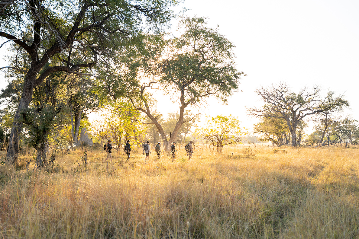 Kwando 4 Rivers Camp
