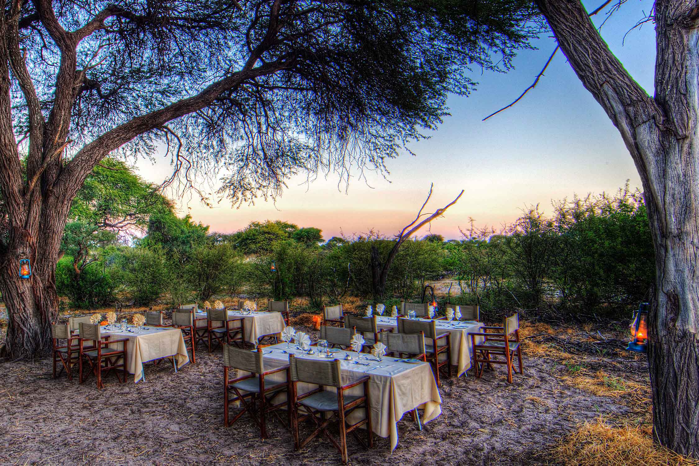 Leroo La Tau, Bush Dinner
