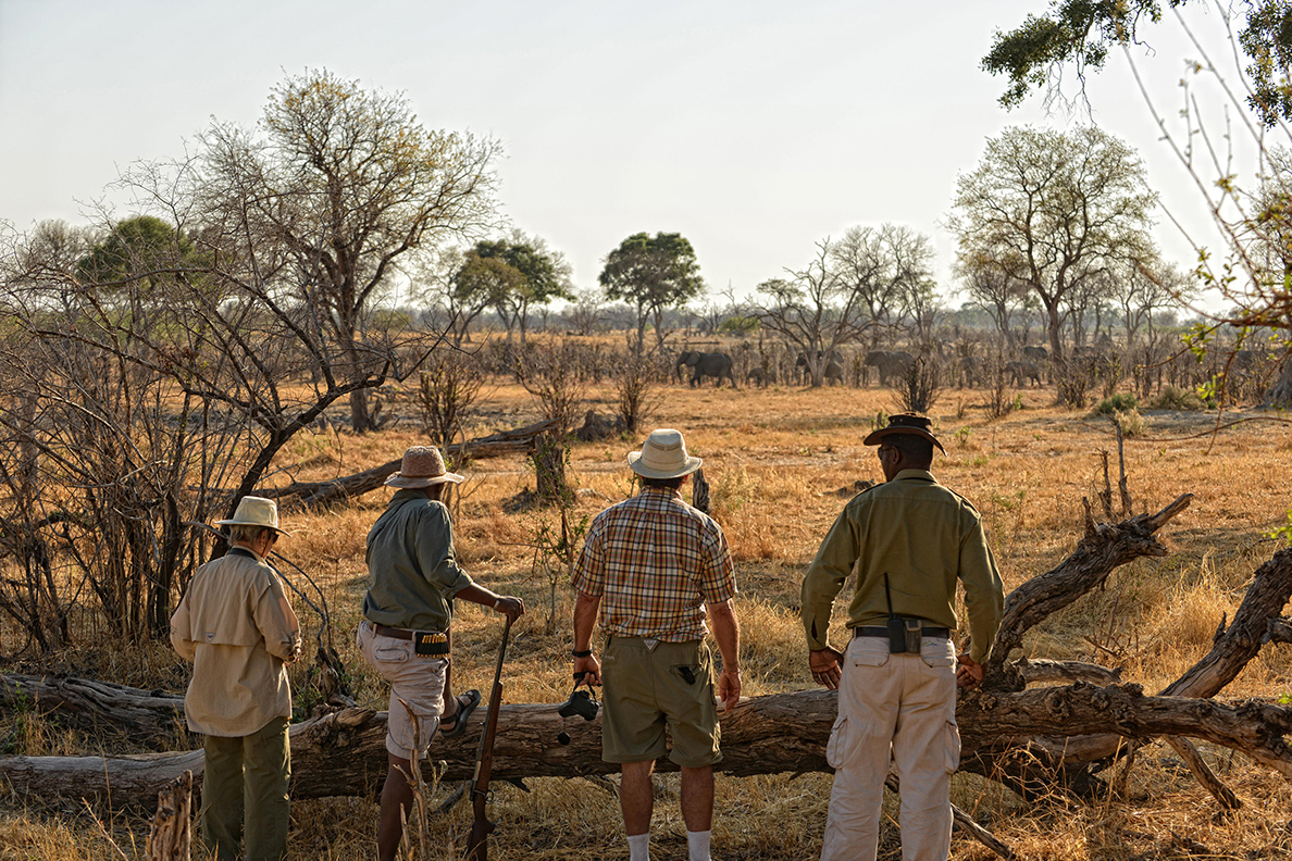 Linyanti Bush Camp - Fusspirsch