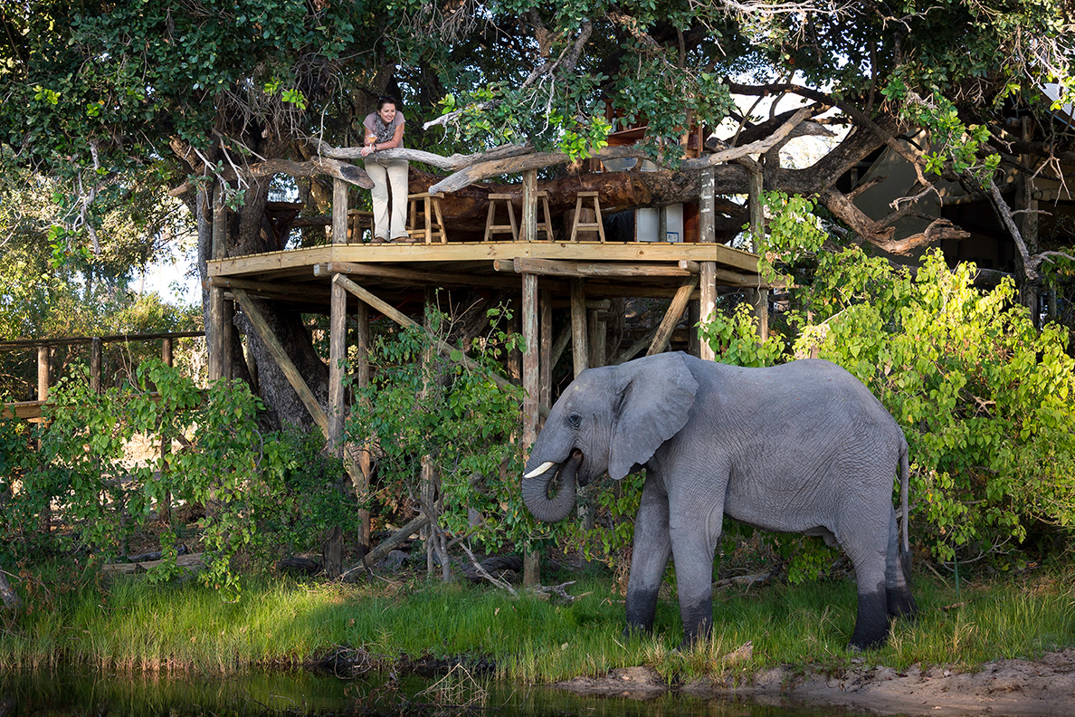 Little Tubu Camp