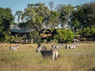 Little Tubu Camp Little Tubu Camp