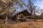 Machaba Camp