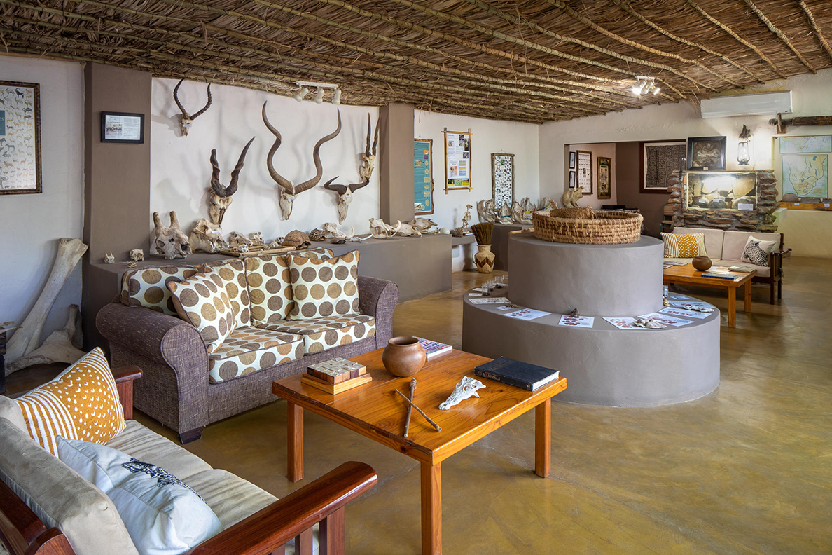Mashatu Lodge - Discovery Room