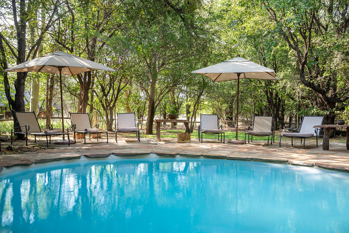 Mashatu Tent Camp - Pool