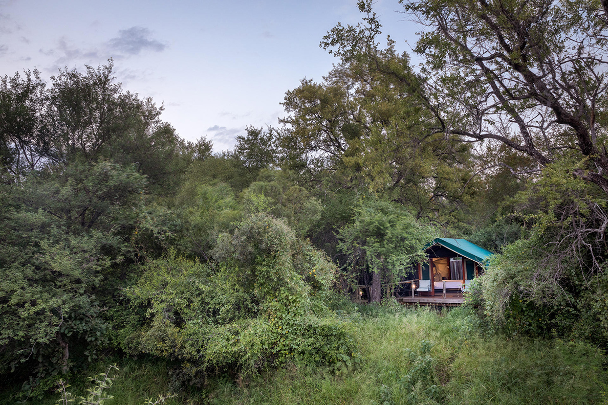 Mashatu Tent Camp - Zelt