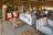 Mashatu Tent Camp - Lounge