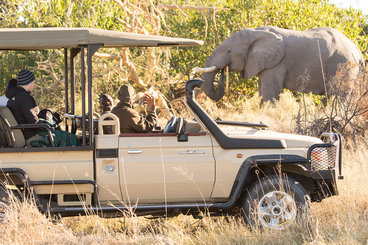 Rra Dinare - Game Drive