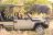 Rra Dinare - Game Drive