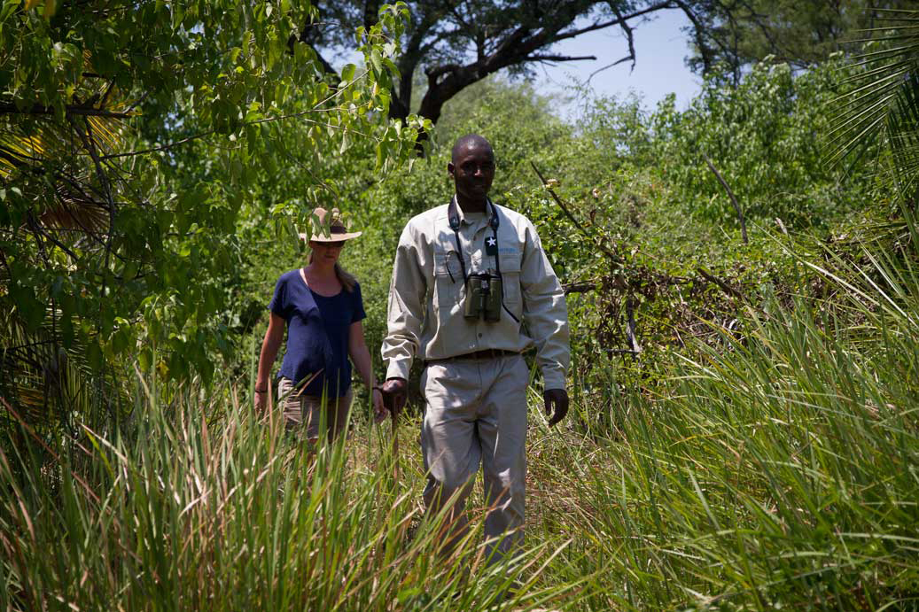 Mopiri Camp - Bush Walk